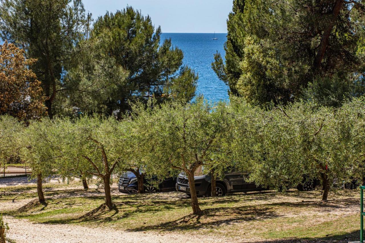Porton Nature Hideouts روفينج المظهر الخارجي الصورة